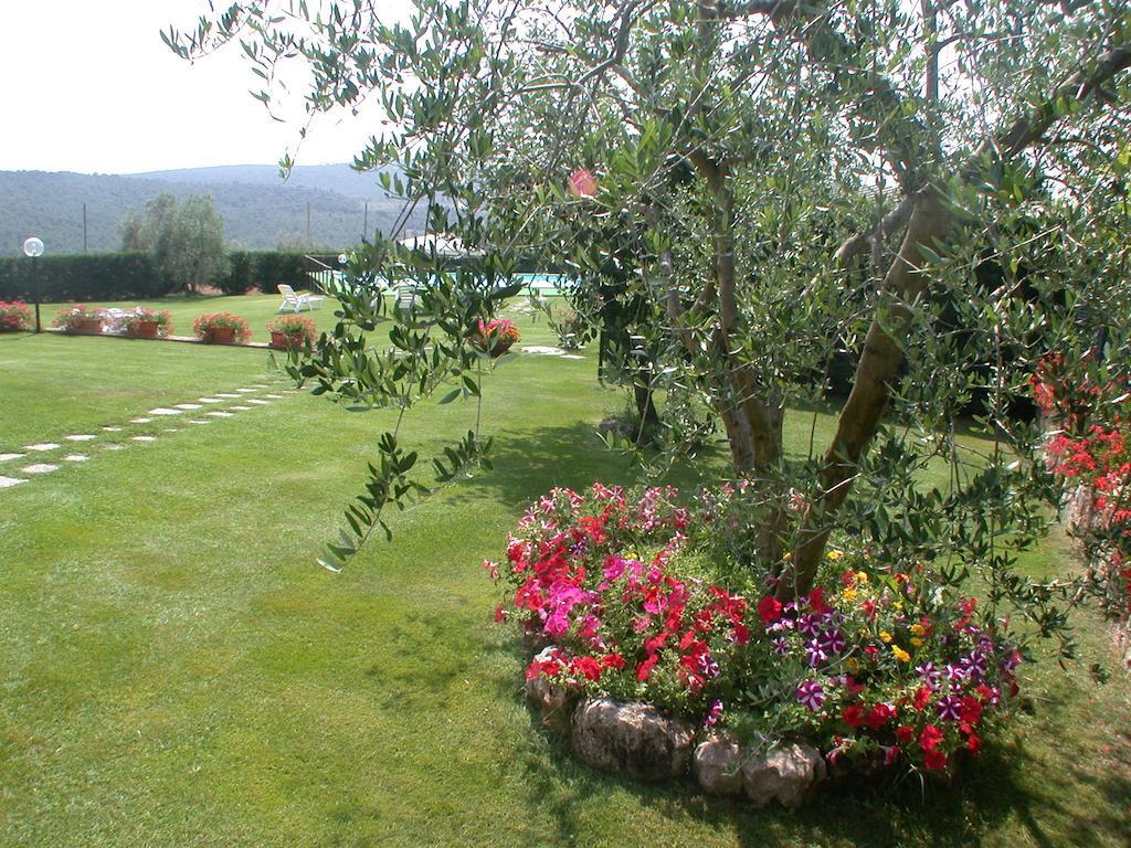 Agriturismo Arnano سوفيتشيلي المظهر الخارجي الصورة